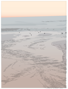 sandpipers